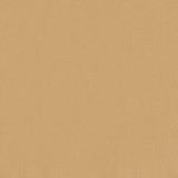 brin beige oscuro