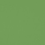 brin verde clinica